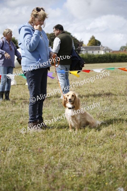 20250831-3655 - Dog Show