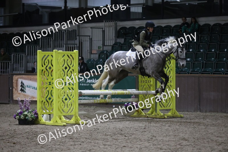 20260125-5072 - Class 5 - 80cm