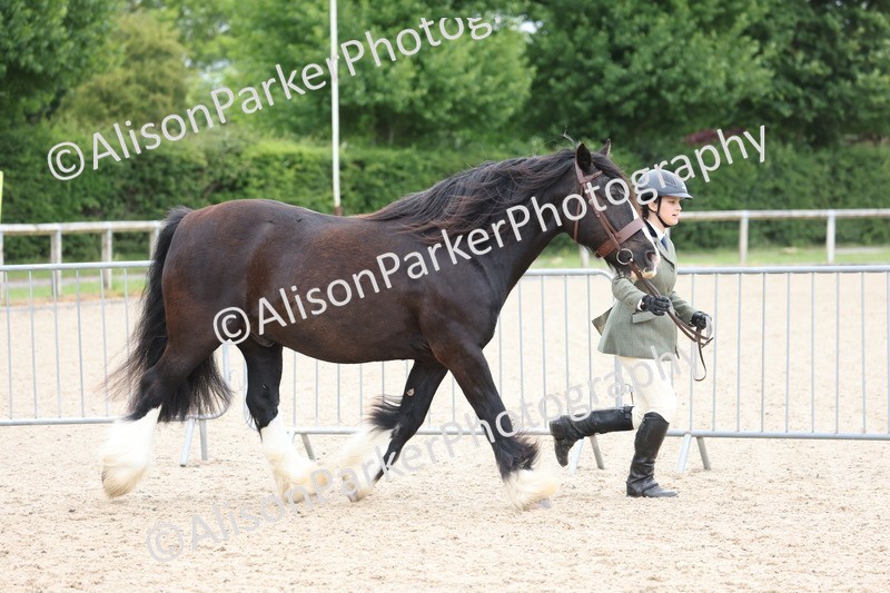 20250524-0988 - Class 9 - Cob and Hunter