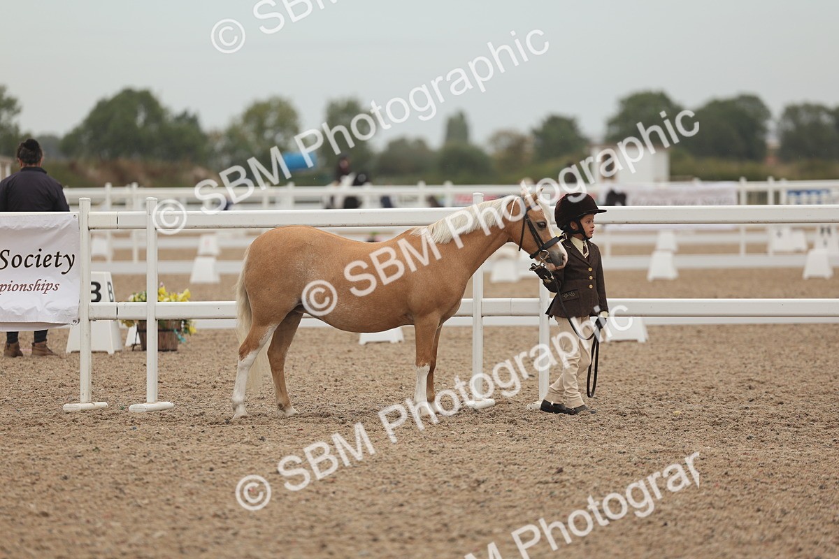 SBM_00514 - Class 13 Young Handler