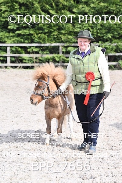 BPP_7656 - RING 1  (RIDDEN HORSES / IN HAND / VETERAN ETC)