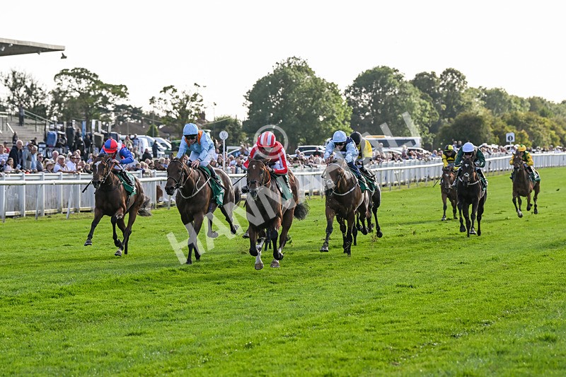 160824-Race 3-Force And Valour-9060 - Race 3