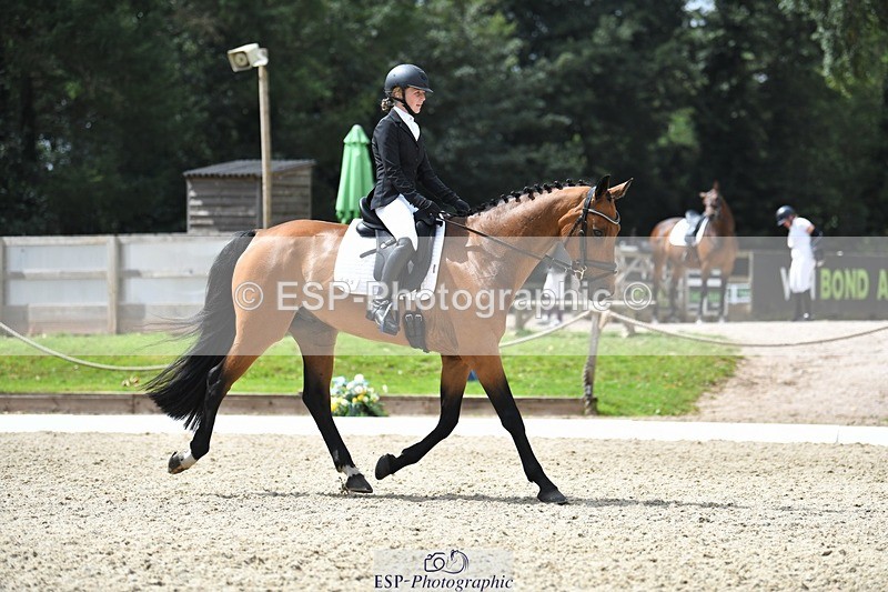 230812-130815-04267 - Cls 6 Novice Silver 12.10 to End