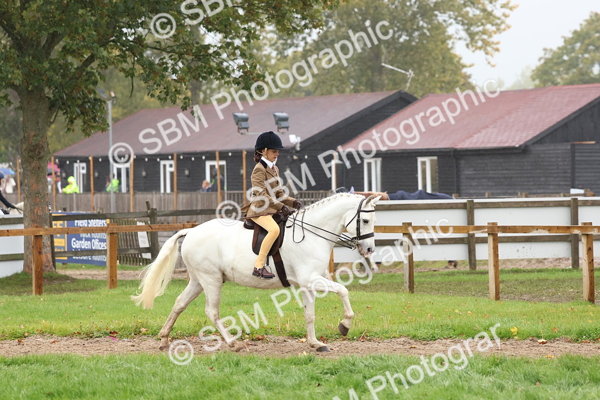 SBM_73003 - S63 Show Pony & Show Hunter Pony Ridden