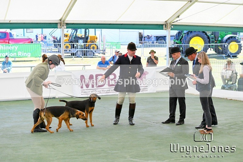 WJ5_0583 - Berks & Bucks at the Great Yorkshire Show 2025