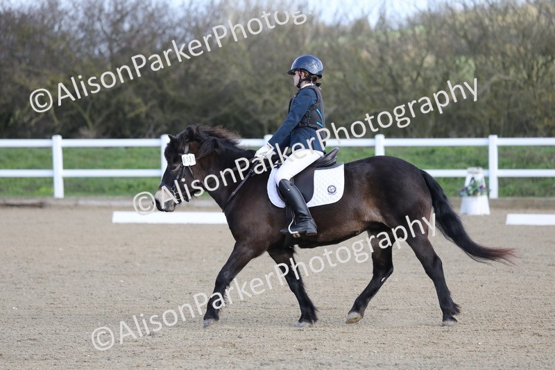 20260314-0219 - DR1 - Intro 1