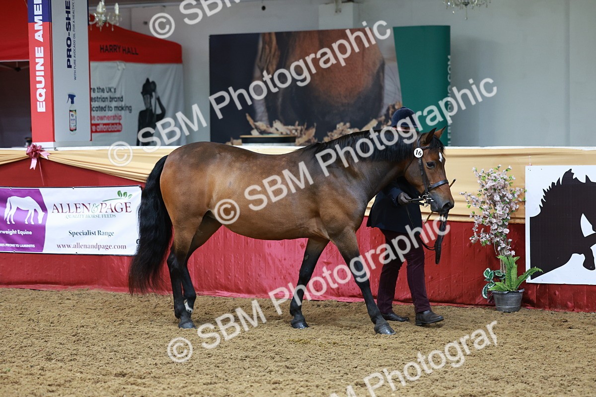 SBM_17319 - Class 951 - M&M IH Supreme Final