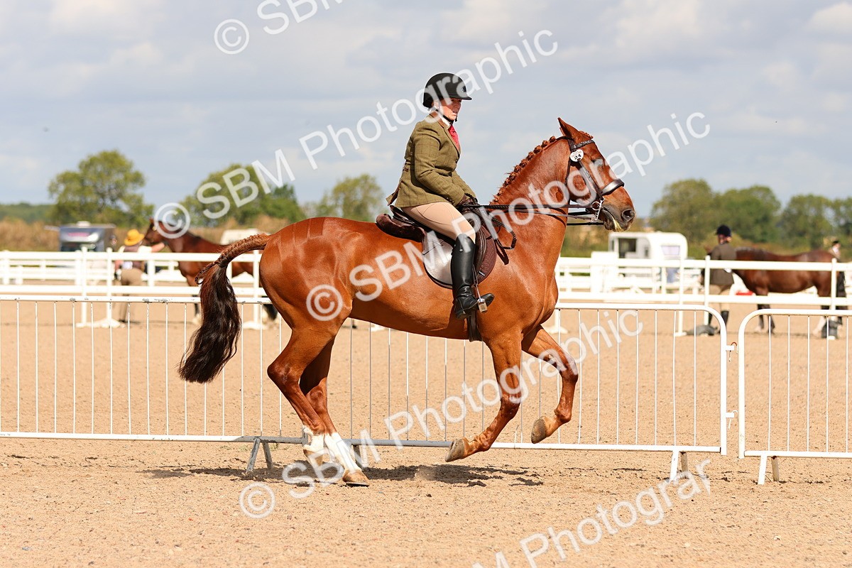 SBM_13198 - Class 211 - Ridden Hunter - Small