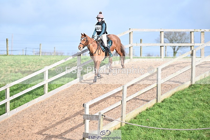 240127A-131254-01005 - AE 80cm