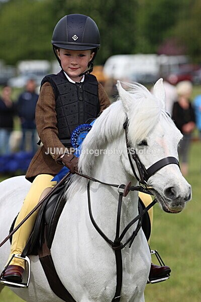 IMG_2420 - Working Hunter