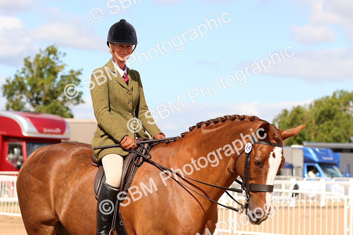 SBM_13208 - Class 211 - Ridden Hunter - Small