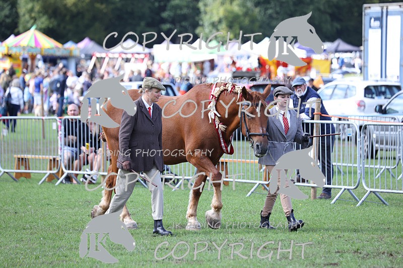 APP_3423 - Class 6 Young Handlers