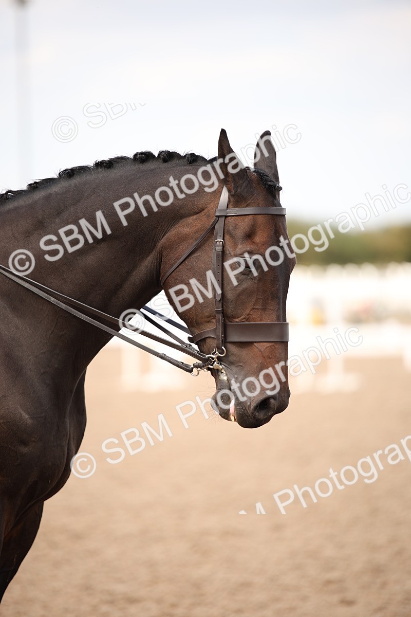 SBM_06676 - Class 23 SSA Classical