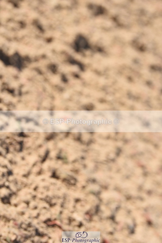 230915A-154506-00865 - Cls 13 1.10m Amateur Qualifier & 1.10m Open