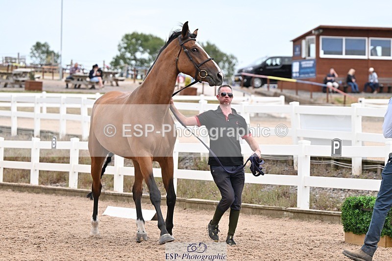 250716-155032-02218 - Trot Up 3.30 to 4.30