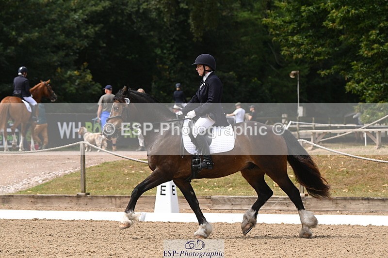 250720A-115655-10088 - 079-Amanda.Williams-Llanarth.Westminster