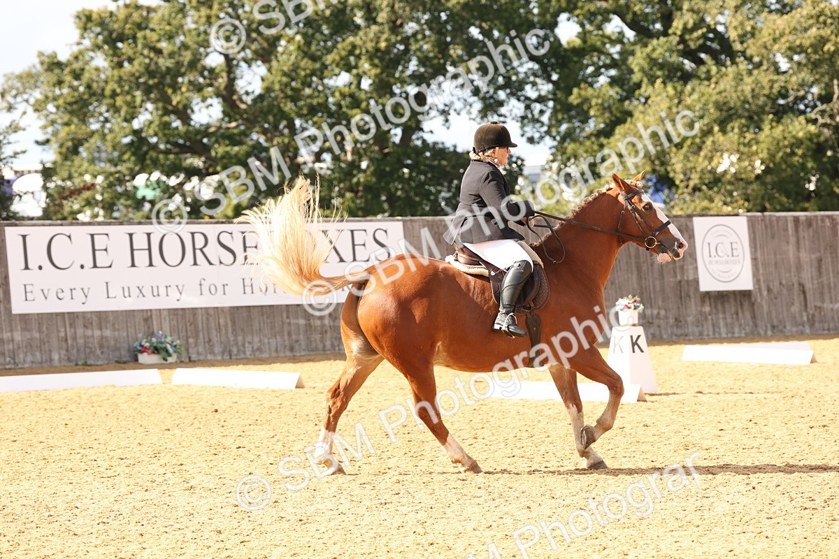 SBM_47550 - D12 - Small Tour Championship prelim 2