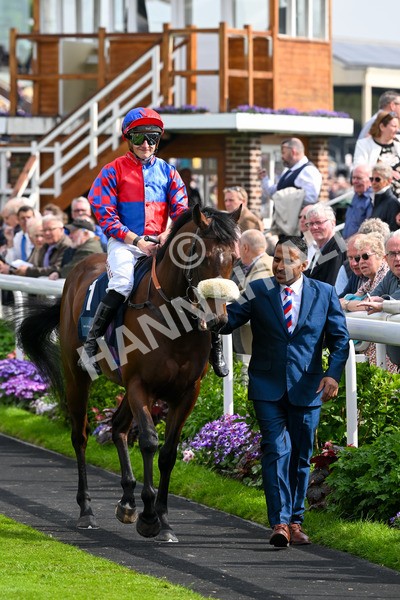 160524-Race 5-Big Evs-6221 - Race 5 4.15pm  British Stallion Studs EBF Westow Stakes