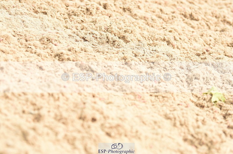 230813A-134448-13272 - Cls 49 Chard Eq 5yr Old Championship