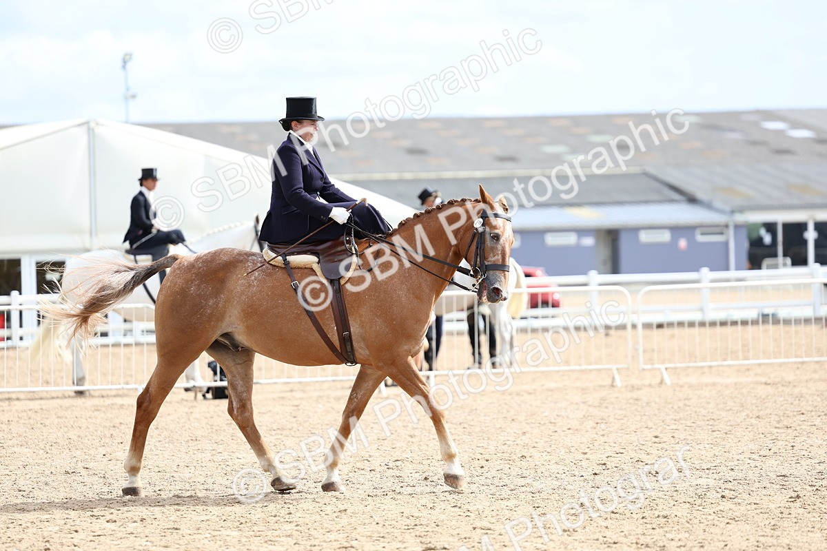 SBM_03350 - Class 23 - SSA Classical (any age)
