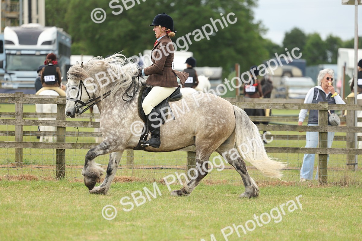 SBM_08979 - Class 78-80 - Ridden M&M Non Welsh Ponies