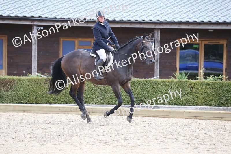 20260831-2638 - Class 15 - Ridden Retraining of Racehorses