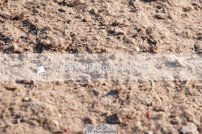 250510-175652-12382 - Cls 18 Chard Eq Derby