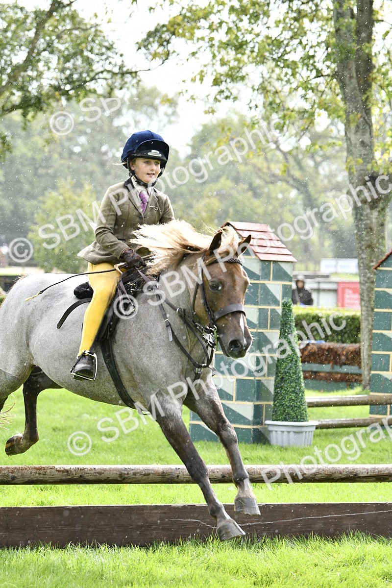 SBM_41409 - S32 - Mountain & Moorland Working Hunter Pony