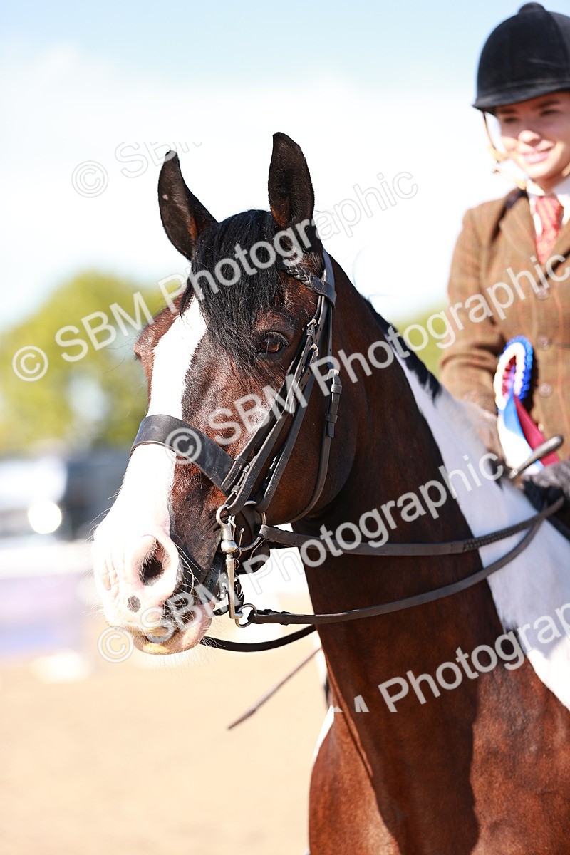 SBM_12537 - Class 403 - Grassroots Ridden - Junior