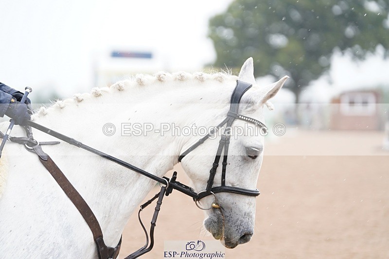 240901A-135334-09851 - 511-Kate.Jupp-CARROWNURLAUR.PRIDE