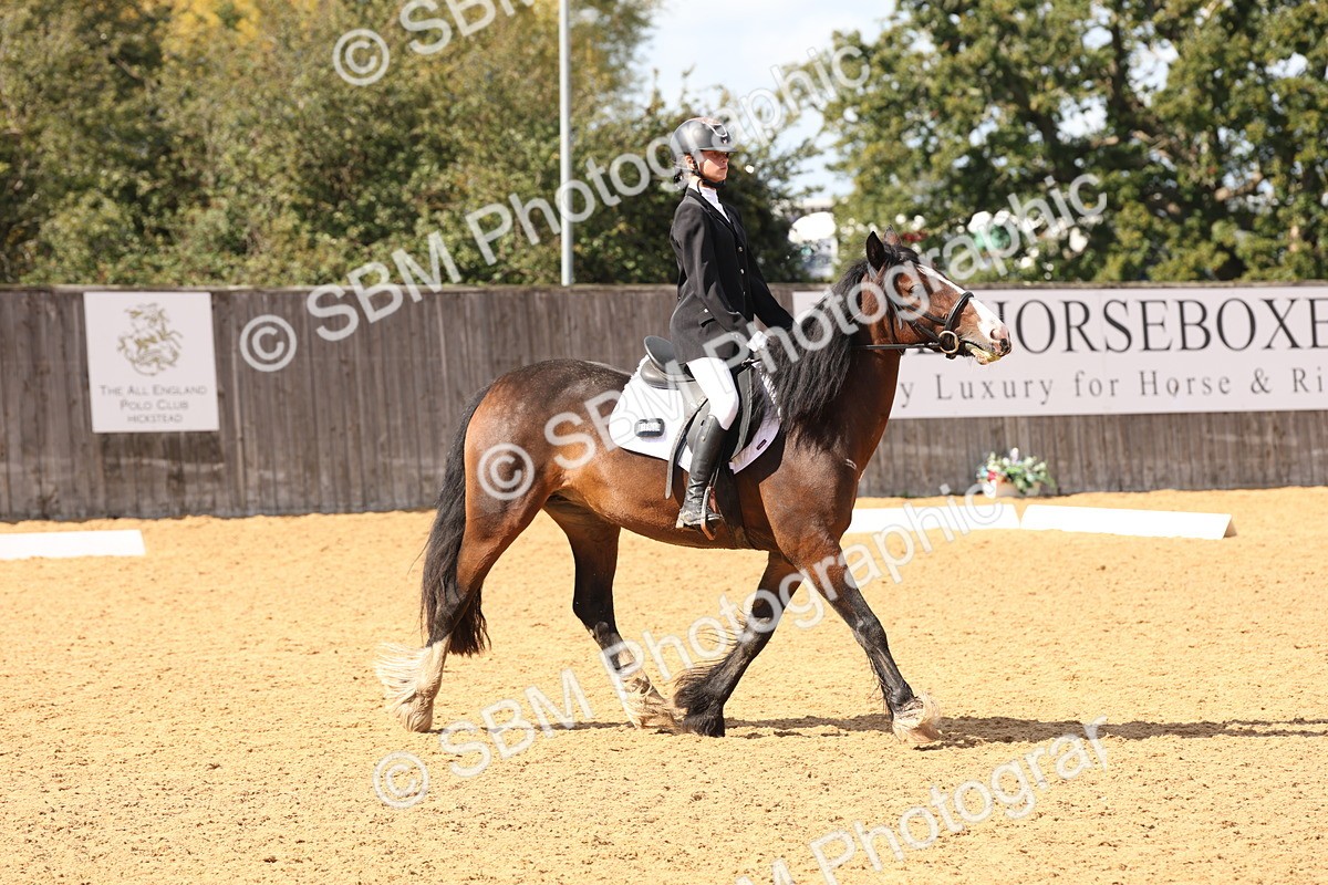 SBM_44203 - D6 - Small Tour Championship Intro 4