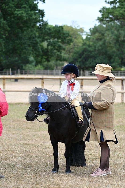 WJ7_8594 - Class 4 Prettiest Mare up to 14.2hh