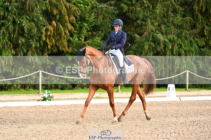 231021-161038-21041 - 264-BEST.ENDEAVOUR-Freddie.Taylor-DR