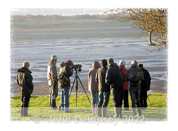 RSPB 6B - Montrose Basin