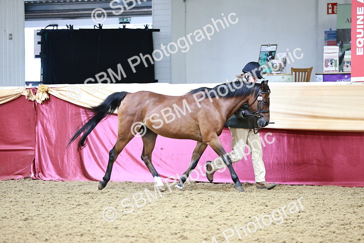 SBM_00189_Class 1a - Area - IH  Diamond - Sally Ashwin