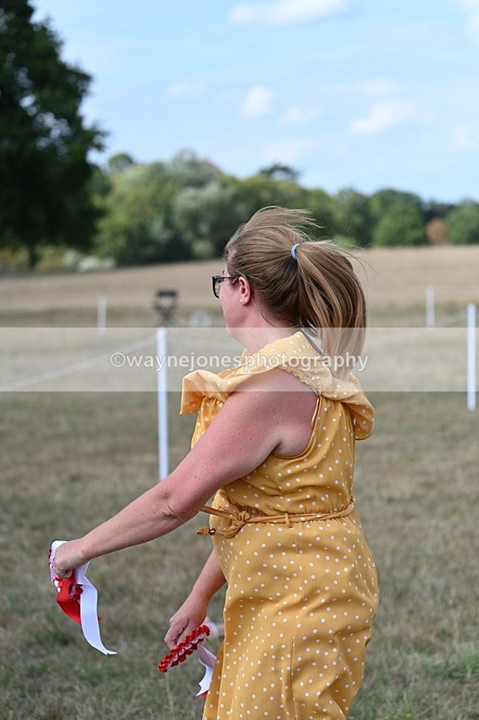 WJ7_6571 - George ...