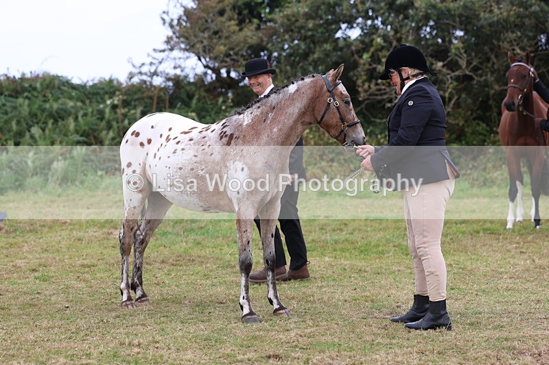 3E7A4145 - Class 15: Two Year Olds