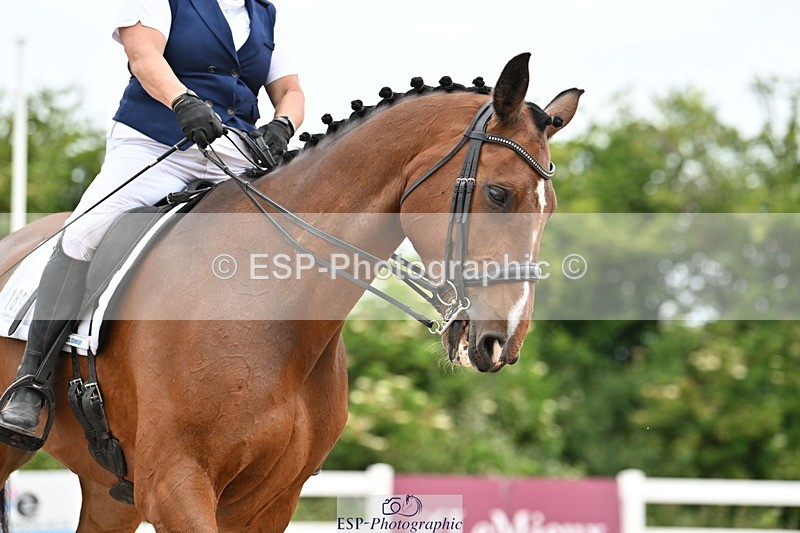 240623A-141438-18966 - Cls 51 BD Elementary 53