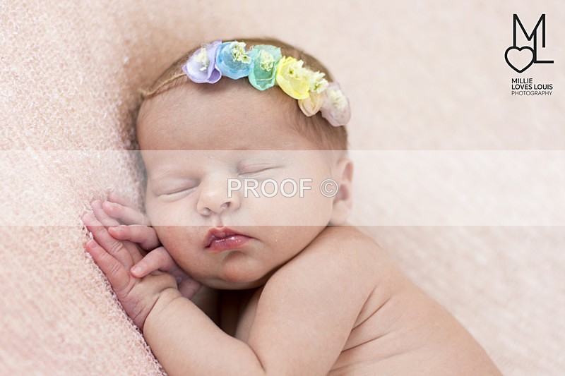 Estella Photoshoot 25th August 2016 Millie Loves Louis Photography  35 - Newborn Photoshoots