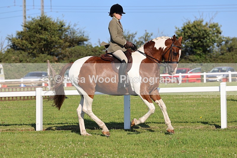 IMG_1207 - Class 27: Ridden Plaited Coloured Horse