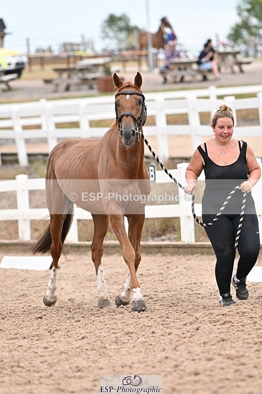 250716-160454-02396 - Trot Up 3.30 to 4.30