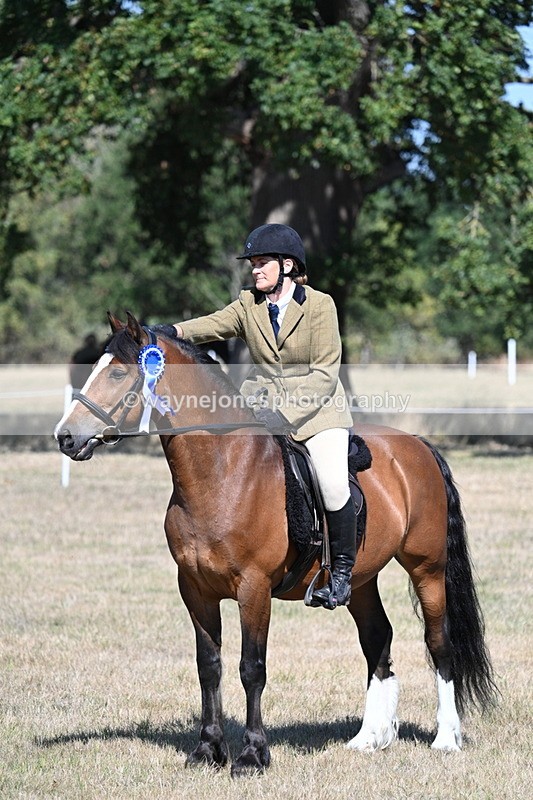 WJ7_4150 - Class 9 Mountain & Moorland Ridden