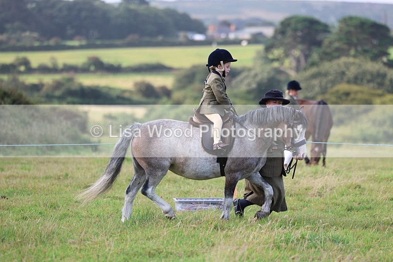 3E7A3367 - Class 2: Lead rein