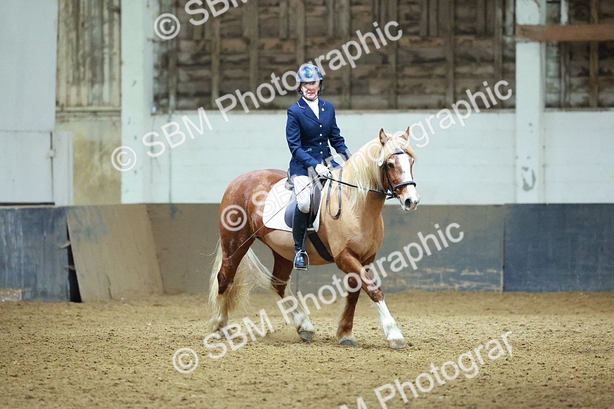SBM_003653 - Novice 2