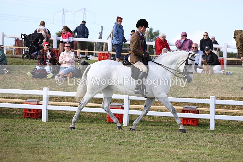 3E7A3806 - Supreme Championship