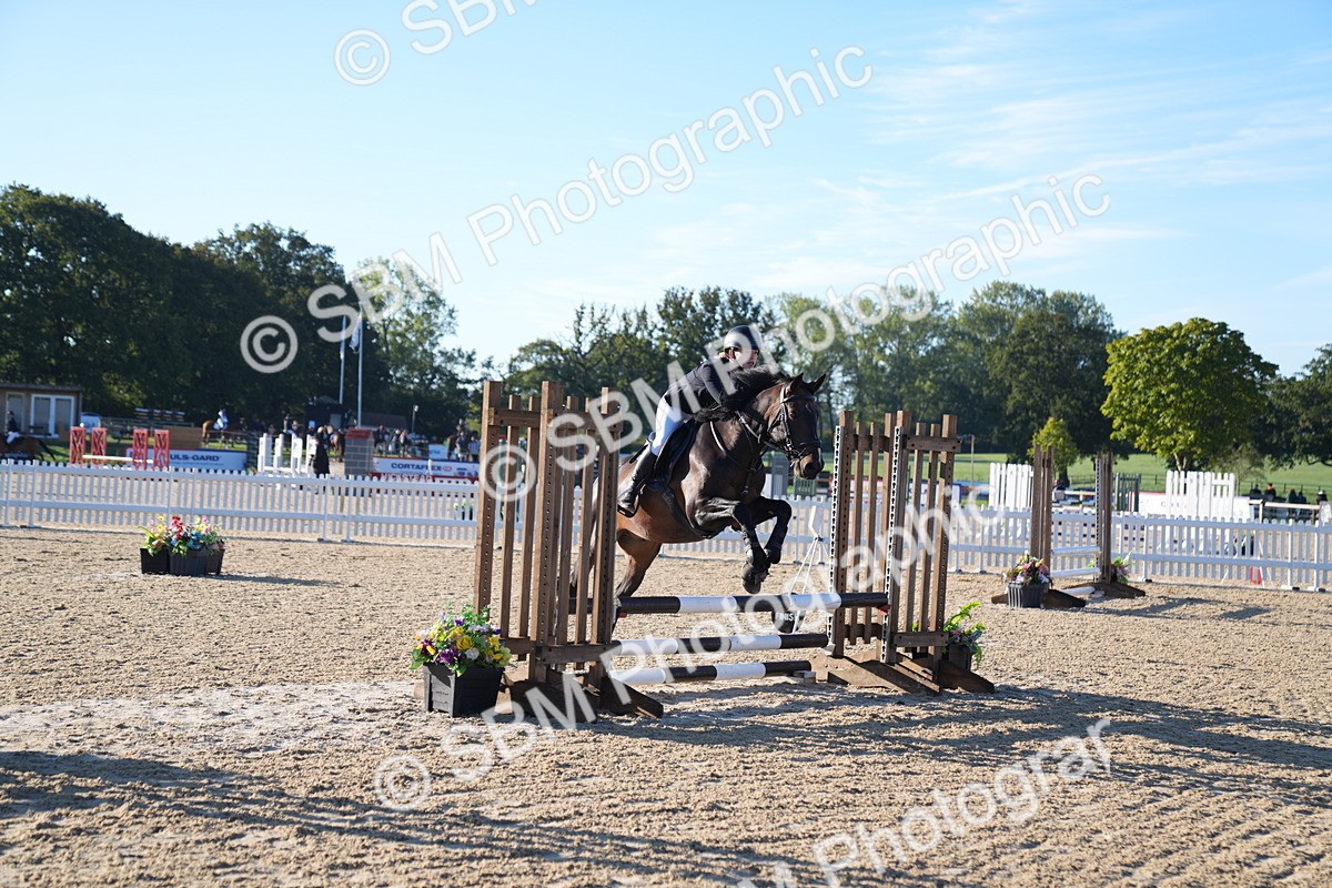 SBM_14029 - J59 - Clear Round - 65cm