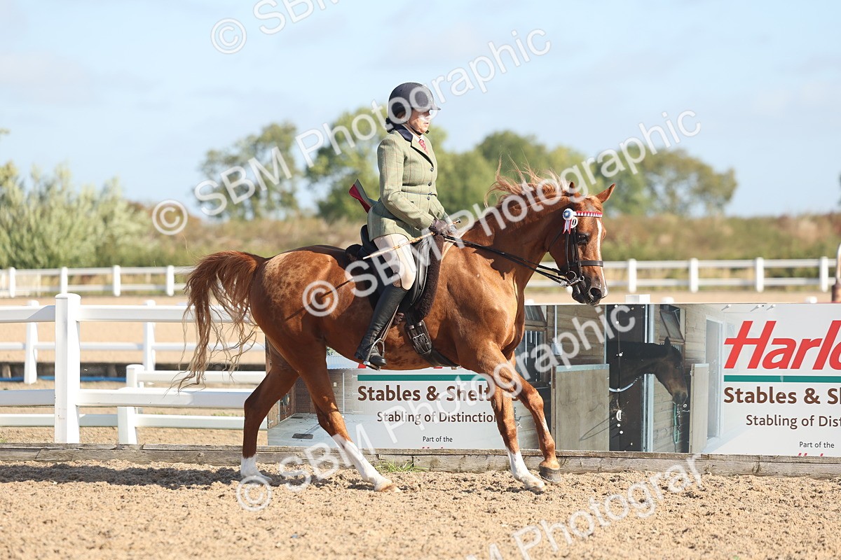 SBM_22302 - Class 803 - Ridden Combination 65+