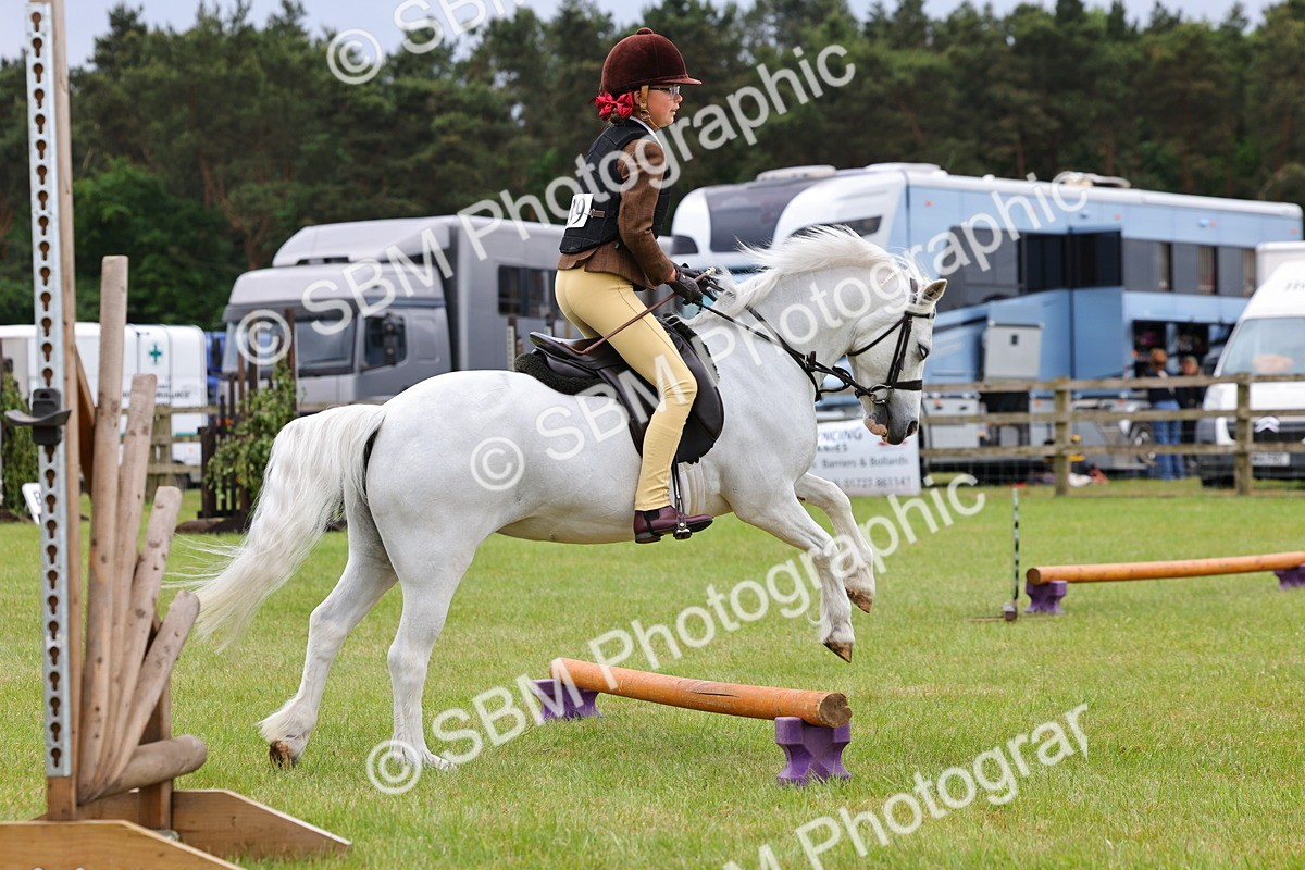 SBM_08725 - Class 42-43 - LIHS BSPS Heritage Working Sports Pony