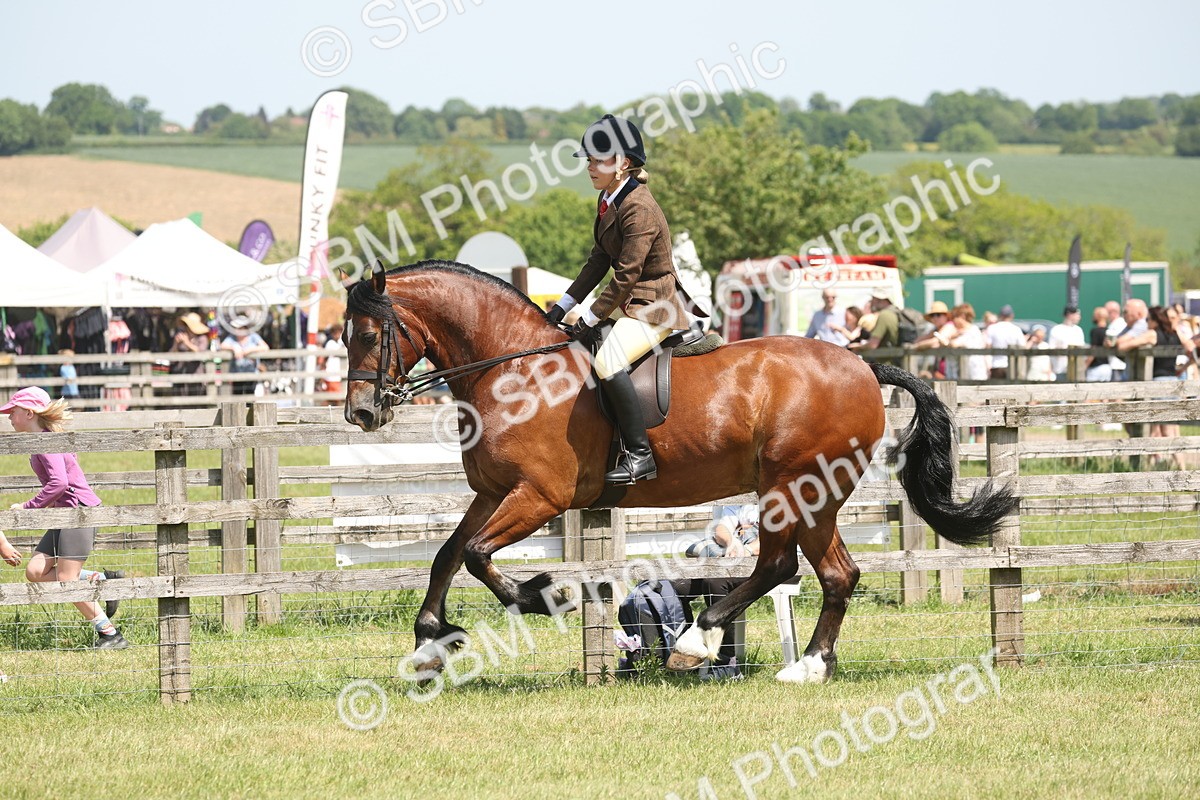 SBM_06953 - Class 26-30 - Mountain and Moorland Ridden