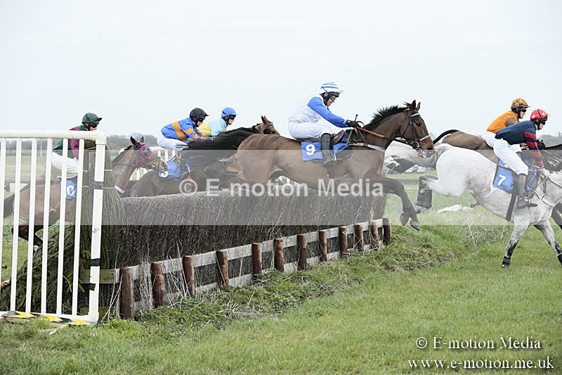 PtP 230319 93 - VWH Hunt Siddington Point-to-Point Racing 23/03/19